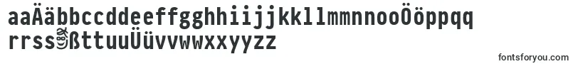 PragmataproBold Font – German Fonts