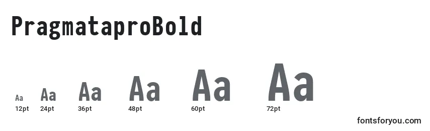 PragmataproBold Font Sizes