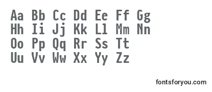 PragmataproBold Font