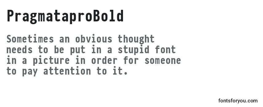 PragmataproBold-fontti