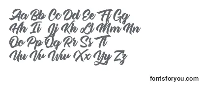 Single Case Personal Use Font