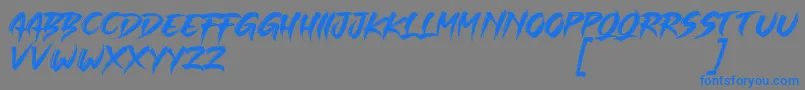 Czcionka SINGLE FIGHTER – niebieskie czcionki na szarym tle