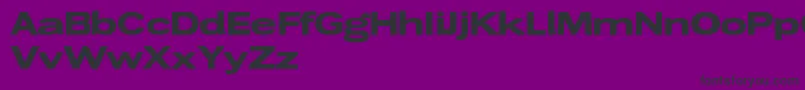 Czcionka Wendelinbreitfett – czarne czcionki na fioletowym tle