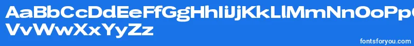 Wendelinbreitfett Font – White Fonts on Blue Background