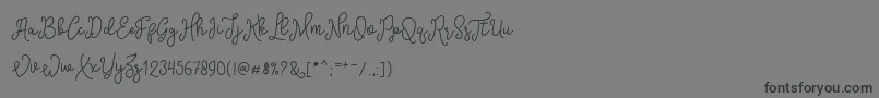 SinyakScript-Schriftart – Schwarze Schriften auf grauem Hintergrund