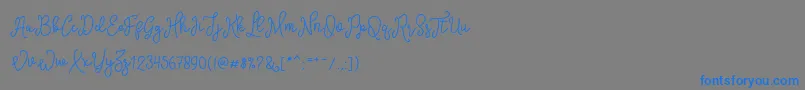 SinyakScript-Schriftart – Blaue Schriften auf grauem Hintergrund