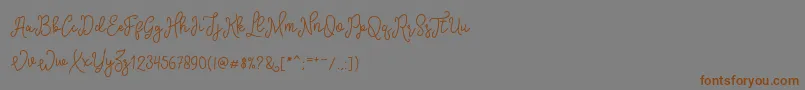 Шрифт SinyakScript – коричневые шрифты на сером фоне