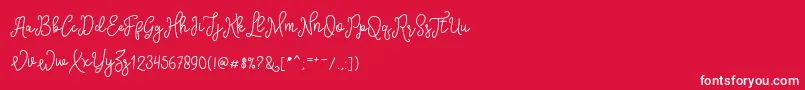 SinyakScript-Schriftart – Weiße Schriften auf rotem Hintergrund