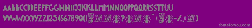 More about Sister Ant Font Sister Ant Font – Gray Fonts on Purple Background