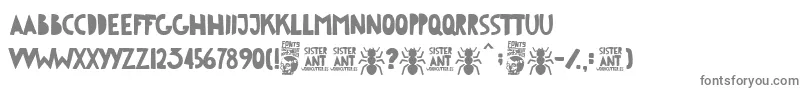 フォントSister Ant – 白い背景に灰色の文字