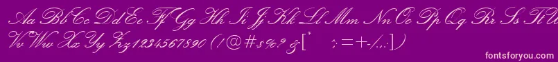 En savoir plus sur la police Exmouth ffy Police Exmouth ffy – polices roses sur fond violet