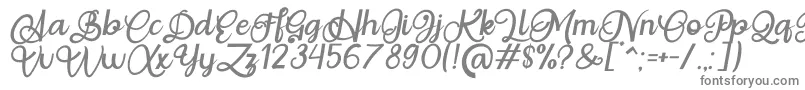 Czcionka Situgintu Calligraphy Personal Use – szare czcionki