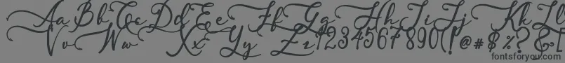 SkallightMillagra Font – Black Fonts on Gray Background