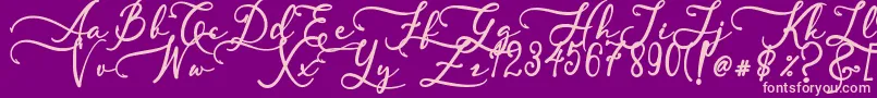 SkallightMillagra Font – Pink Fonts on Purple Background
