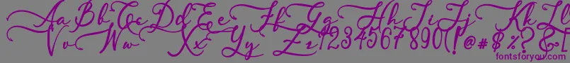 SkallightMillagra-Schriftart – Violette Schriften auf grauem Hintergrund