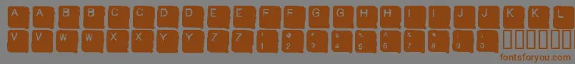 SKANHL   Font – Brown Fonts on Gray Background