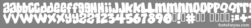 SKATERDUDES Font – White Fonts on Gray Background