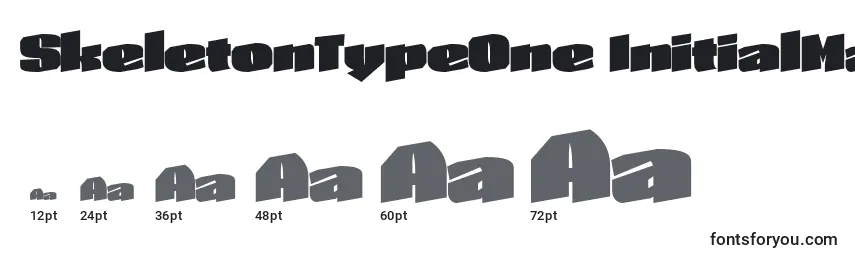 SkeletonTypeOne InitialMax Font Sizes