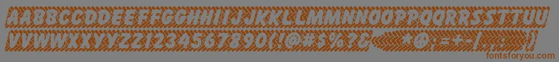 SKIDZ    Font – Brown Fonts on Gray Background