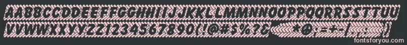 SKIDZ    Font – Pink Fonts on Black Background