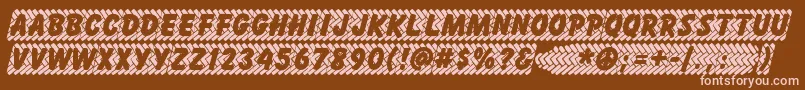 SKIDZ    Font – Pink Fonts on Brown Background