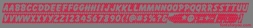 SKIDZ    Font – Red Fonts on Gray Background