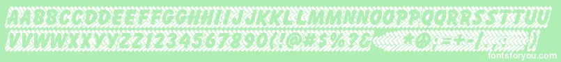 SKIDZ    Font – White Fonts on Green Background