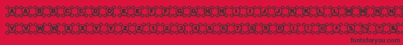 Skully Font – Black Fonts on Red Background