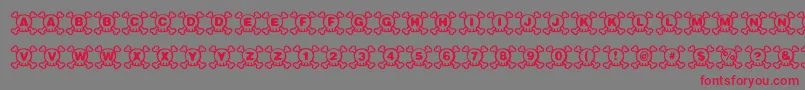 Skully Font – Red Fonts on Gray Background