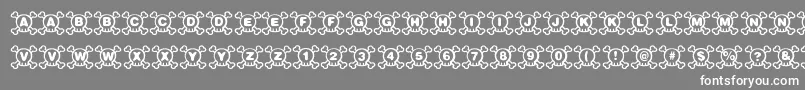 Skully-Schriftart – Weiße Schriften auf grauem Hintergrund