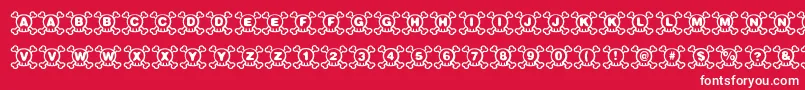 Skully Font – White Fonts on Red Background