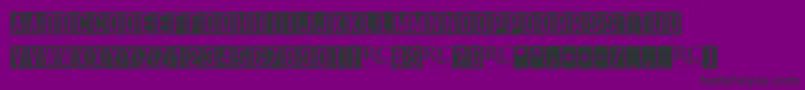 Skyfont NonCommercial Font – Black Fonts on Purple Background