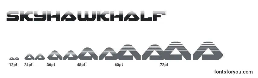 Skyhawkhalf (141132) Font Sizes