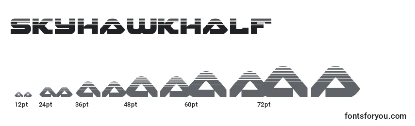 Skyhawkhalf (141133)-fontin koot