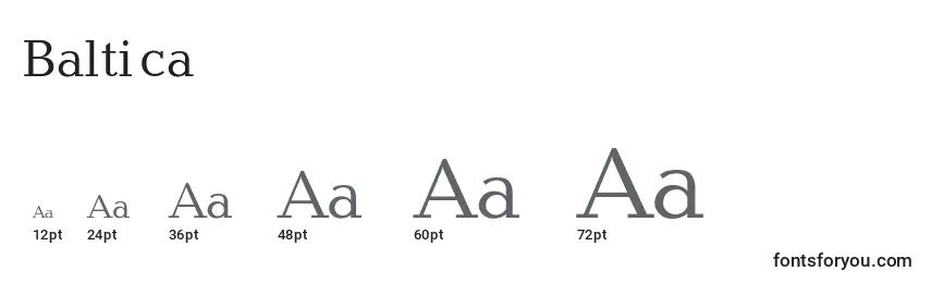 Размеры шрифта Baltica