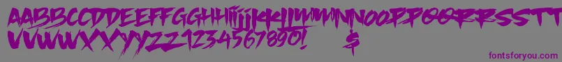 フォントSlacker Brush – 紫色のフォント、灰色の背景