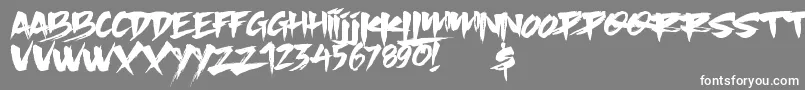 Шрифт Slacker Brush – белые шрифты на сером фоне