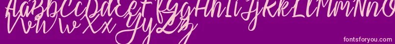 Slash Regular Font – Pink Fonts on Purple Background
