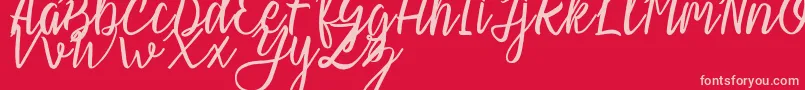 Police Slash Regular – polices roses sur fond rouge