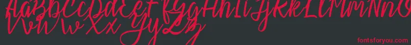 Slash Regular Font – Red Fonts on Black Background