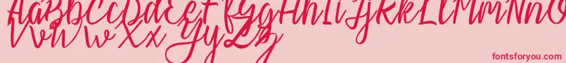 Slash Regular Font – Red Fonts on Pink Background