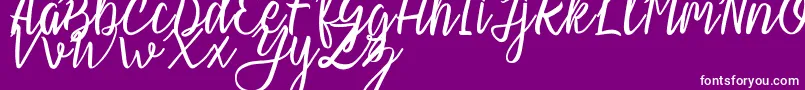 Шрифт Slash Regular – белые шрифты на фиолетовом фоне