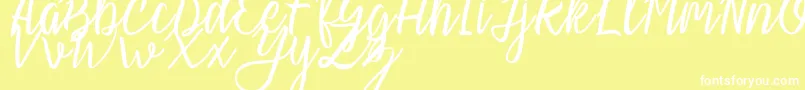 Slash Regular Font – White Fonts on Yellow Background