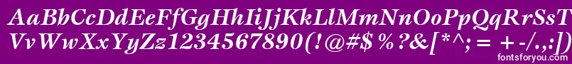 ItcEspritLtBoldItalic Font – White Fonts on Purple Background