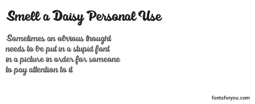 Обзор шрифта Smell a Daisy Personal Use