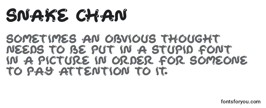 Review of the Snake Chan (141285) Font