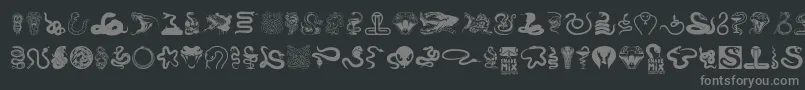 Snake mix-Schriftart – Graue Schriften auf schwarzem Hintergrund