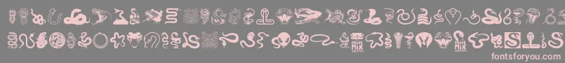 Snake mix Font – Pink Fonts on Gray Background
