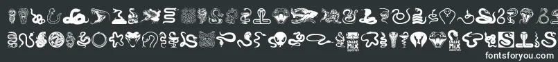 Snake mix-Schriftart – Weiße Schriften auf schwarzem Hintergrund