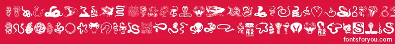 Fonte Snake mix – fontes brancas em um fundo vermelho